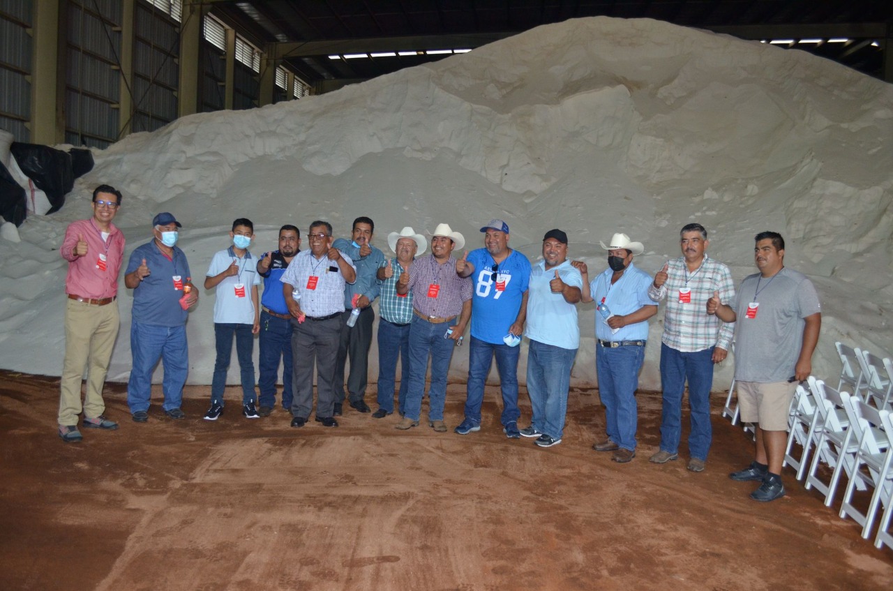 Llegada de sulfato de amonio, ya reporta ahorro de mil mdp a agricultura comercial: SADER