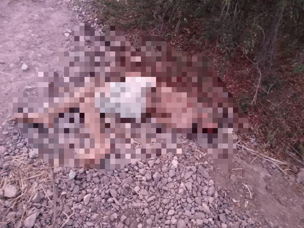 Localizan a un hombre asesinado en zona rural, al sur de Culiacán
