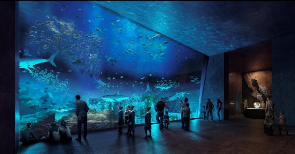 ¡Más caro! Nuevo Acuario para Mazatlán costará un 30 por ciento más de lo previsto; el precio de su entrada será entre 260 y 280 pesos