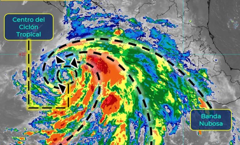 ‘Celia’ se mantiene como Tormenta Tropical; así el pronóstico del clima para hoy en Sinaloa