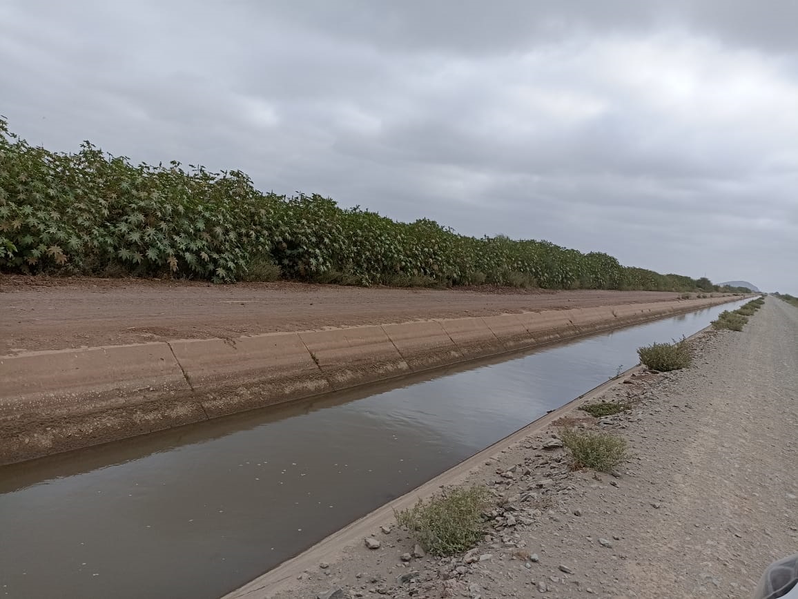 Cierre de canales en módulos de riego afecta suministro de agua en el Valle del Carrizo: Japama