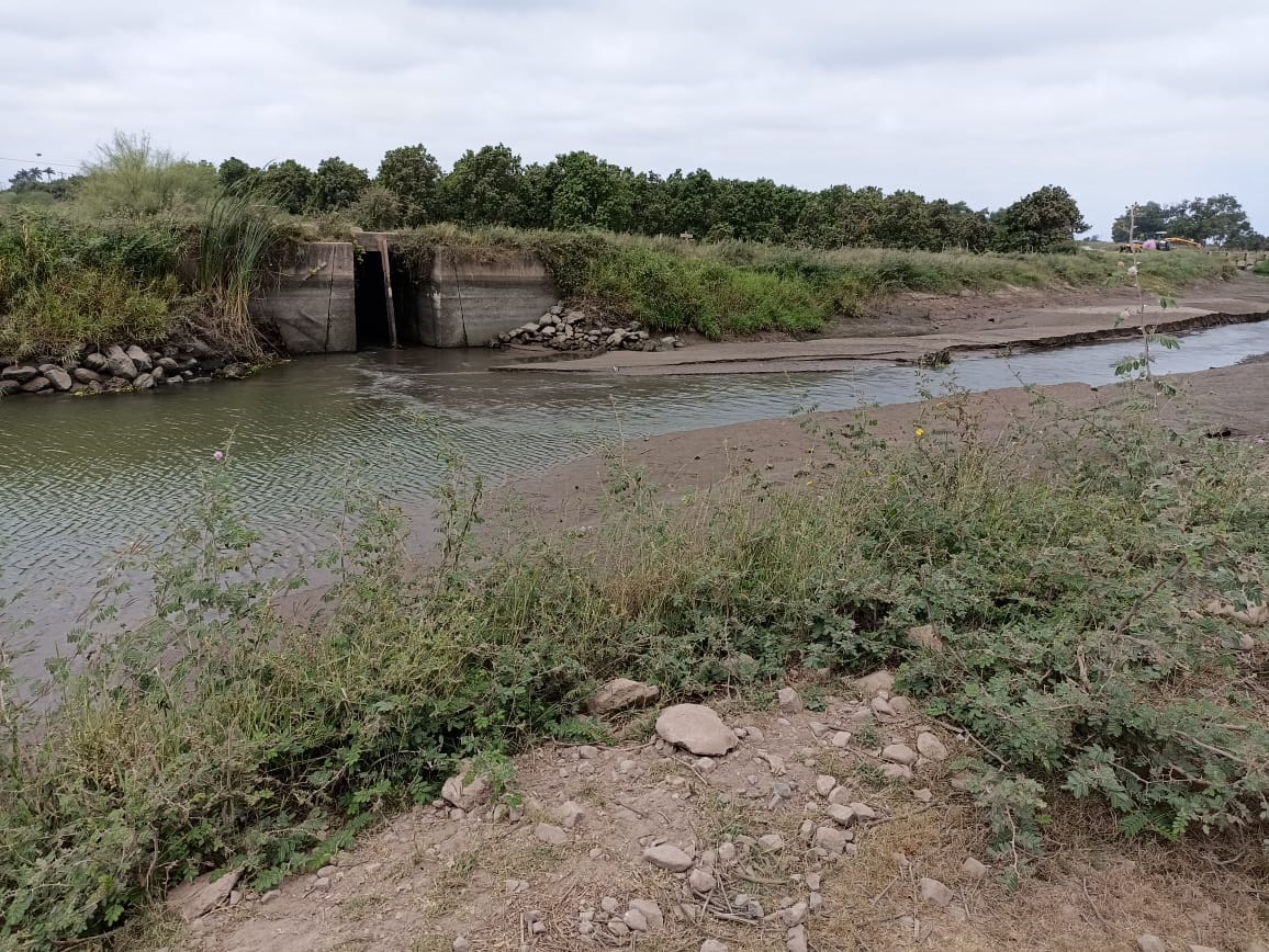 Ajusta Japama a módulos de riego en Ahome para evitar afectación en niveles de agua en canales