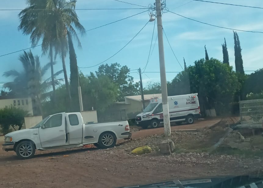 Ataque de abejas en el Poblado 5, Ahome, deja 8 personas lesionadas
