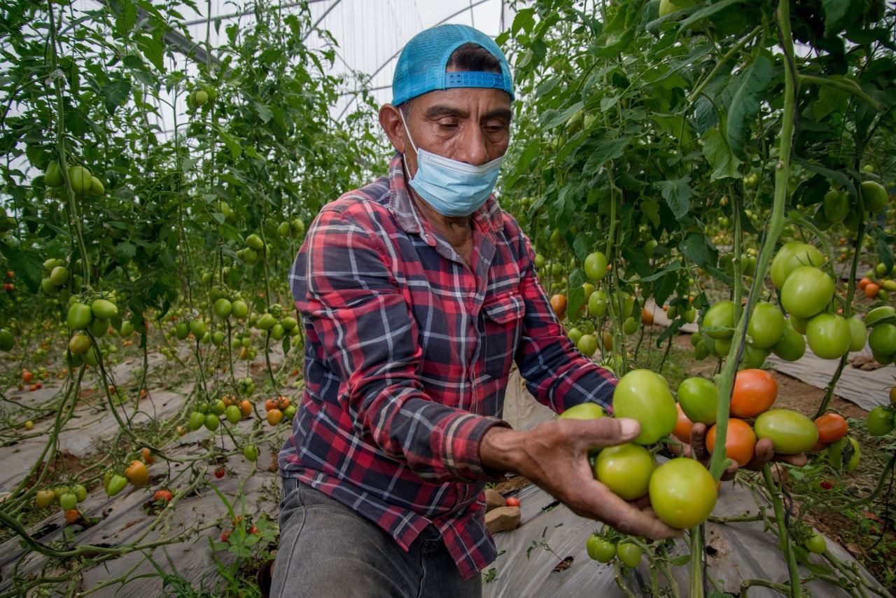 Frente Nacional para el Rescate del Campo esperan pronto se abran las puertas de Sader