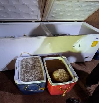 Catea la FGR dos propiedades y halla droga, en Culiacán