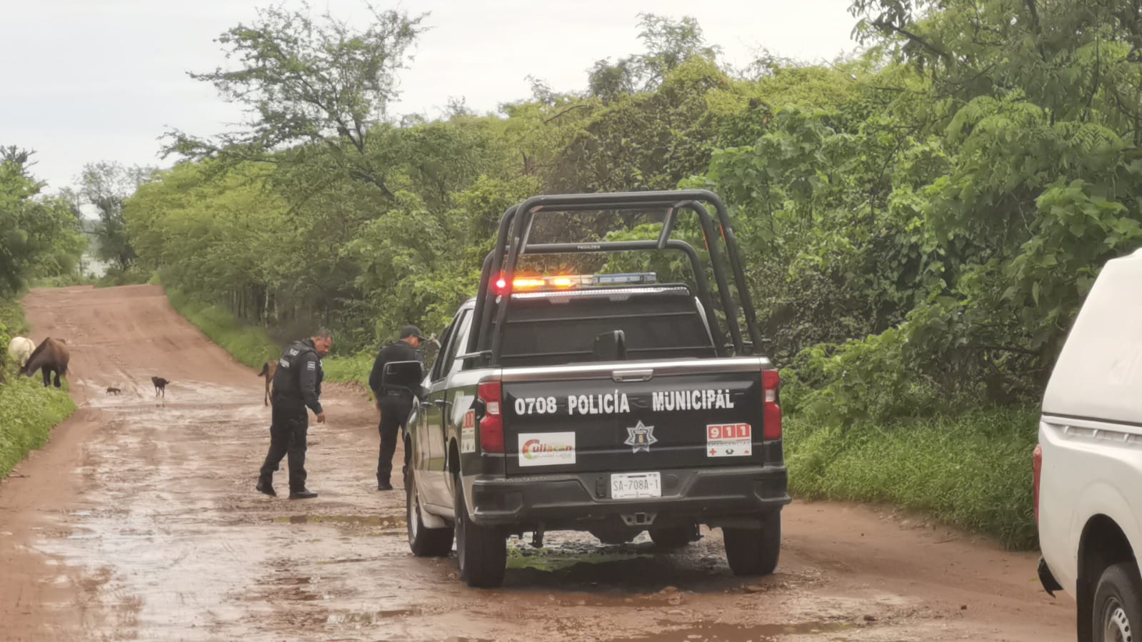 Encuentran ejecutado a balazos a un joven al oriente de Culiacán