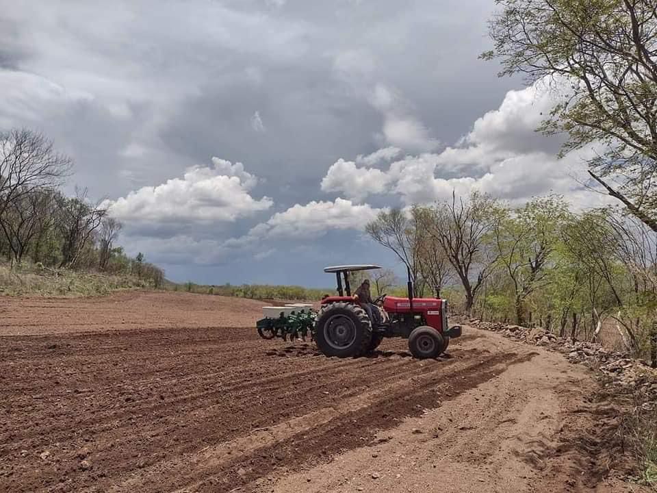 Temporaleros de Choix alistan tierras en espera que lleguen las lluvias