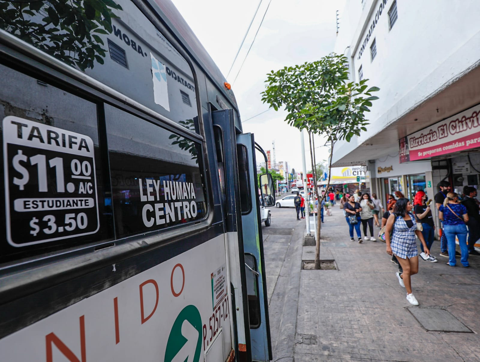 ¡Será parejo! En camiones que costaban $11 sí subirá la tarifa a $12.50: Vialidad y Transporte