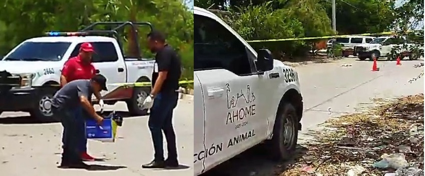 El delito de “La Güera” fue comerse unos pollos