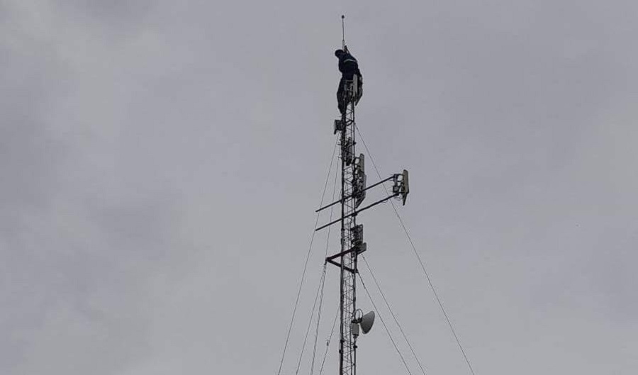 En Concordia, un hombre se sube a una torre de internet tras ser atacado por las abejas
