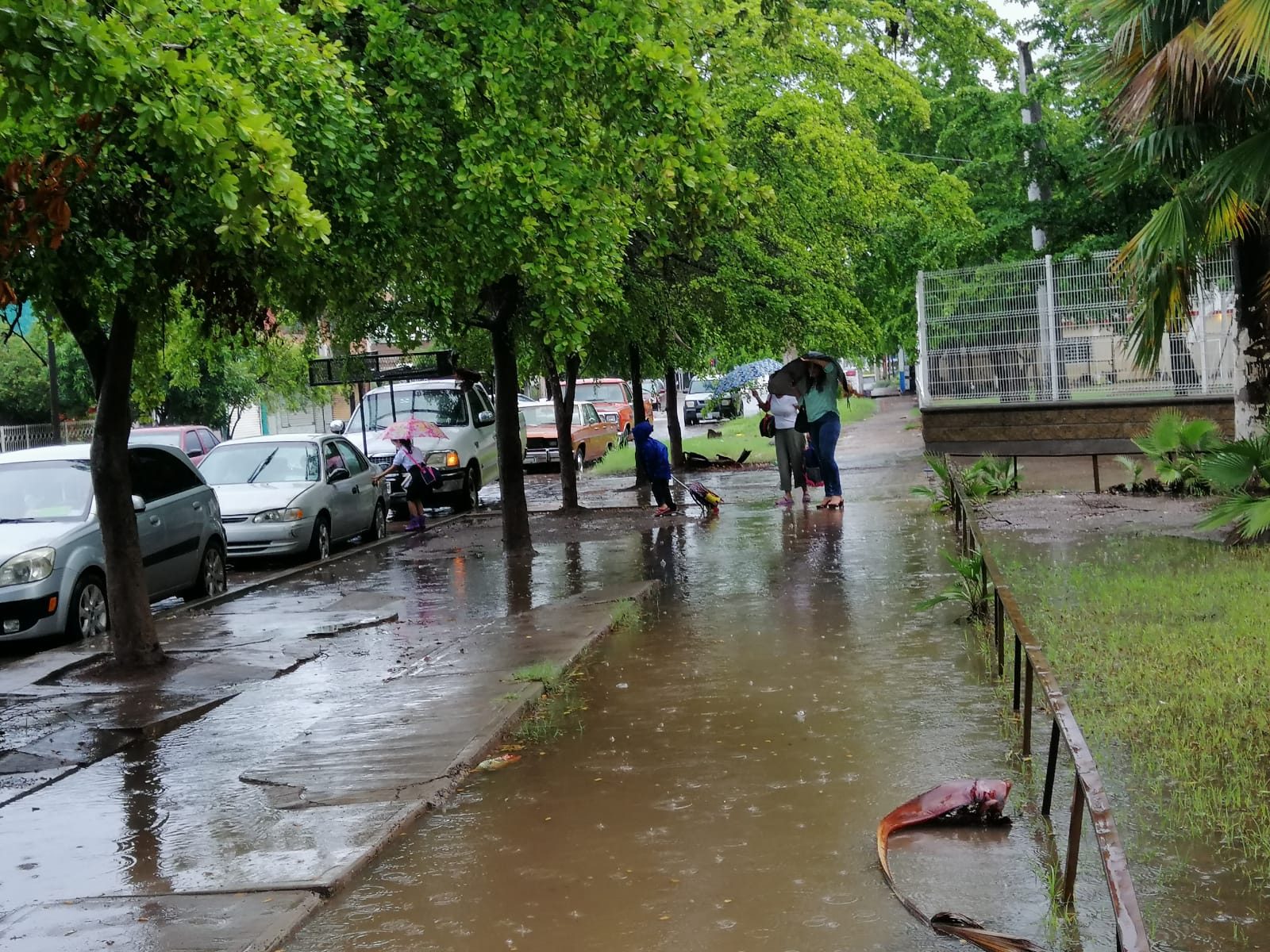 Ante la intensa lluvia, directores de escuelas en Los Mochis y Guasave suspenden clases por cuenta propia