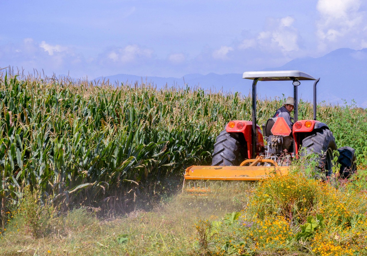 Abraza SADER proyecto de aterrizar un clúster agropecuario para fortalecer sector primario de Sinaloa