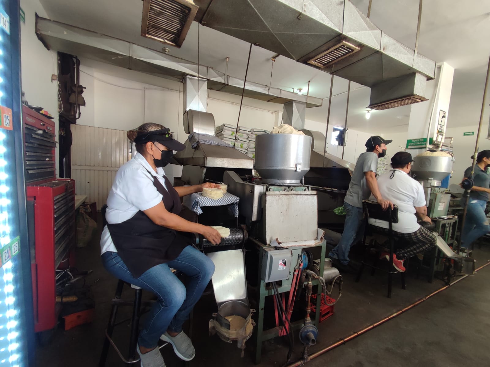 En la Mera Buena , apuestan al volumen para dar la tortilla a 20 pesos en Guasave