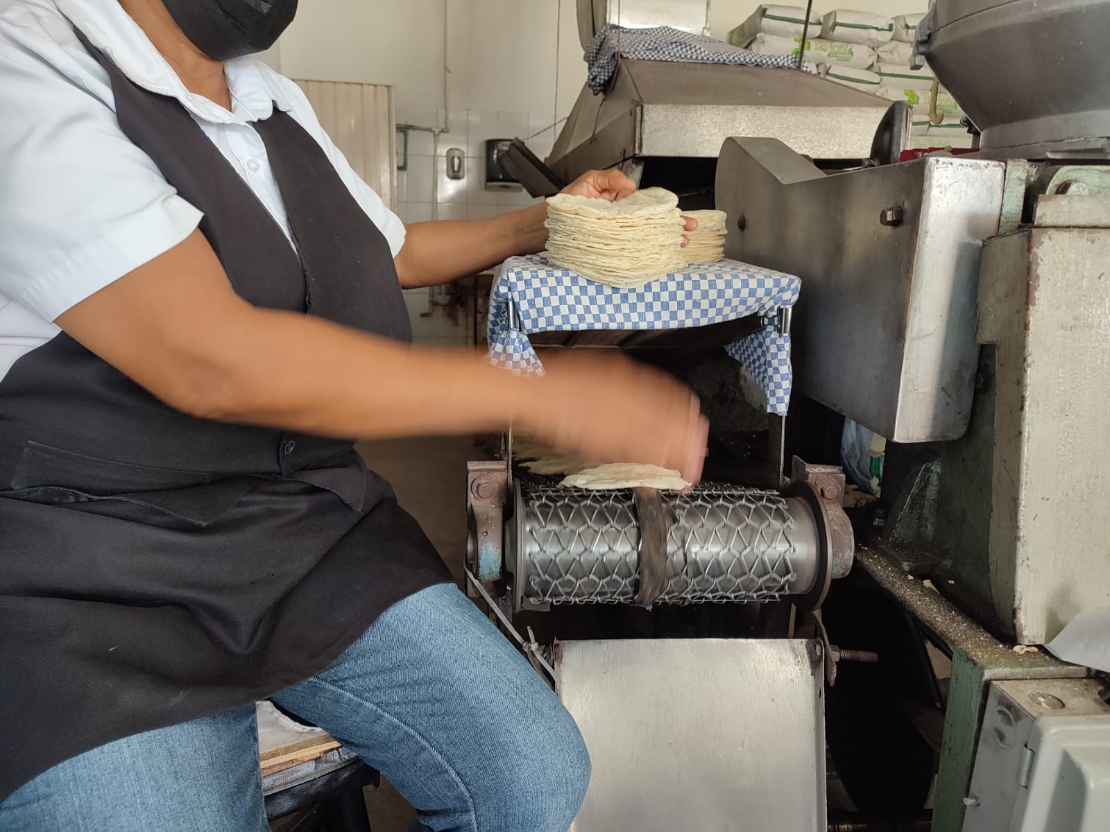 ¡No debe costar más! Acuerdan industriales y Gobierno mantener en 25 pesos el precio por kg de tortillas