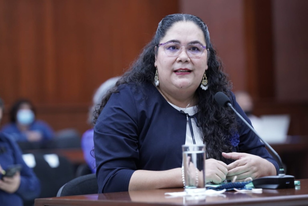 Directora del Instituto de Protección a periodistas quiere secretaria, chofer y sueldo de 70 mil pesos, acusan