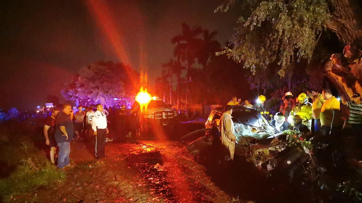 Álamo gigante cae sobre vehículo en La Palma; hay una joven prensada y varios heridos