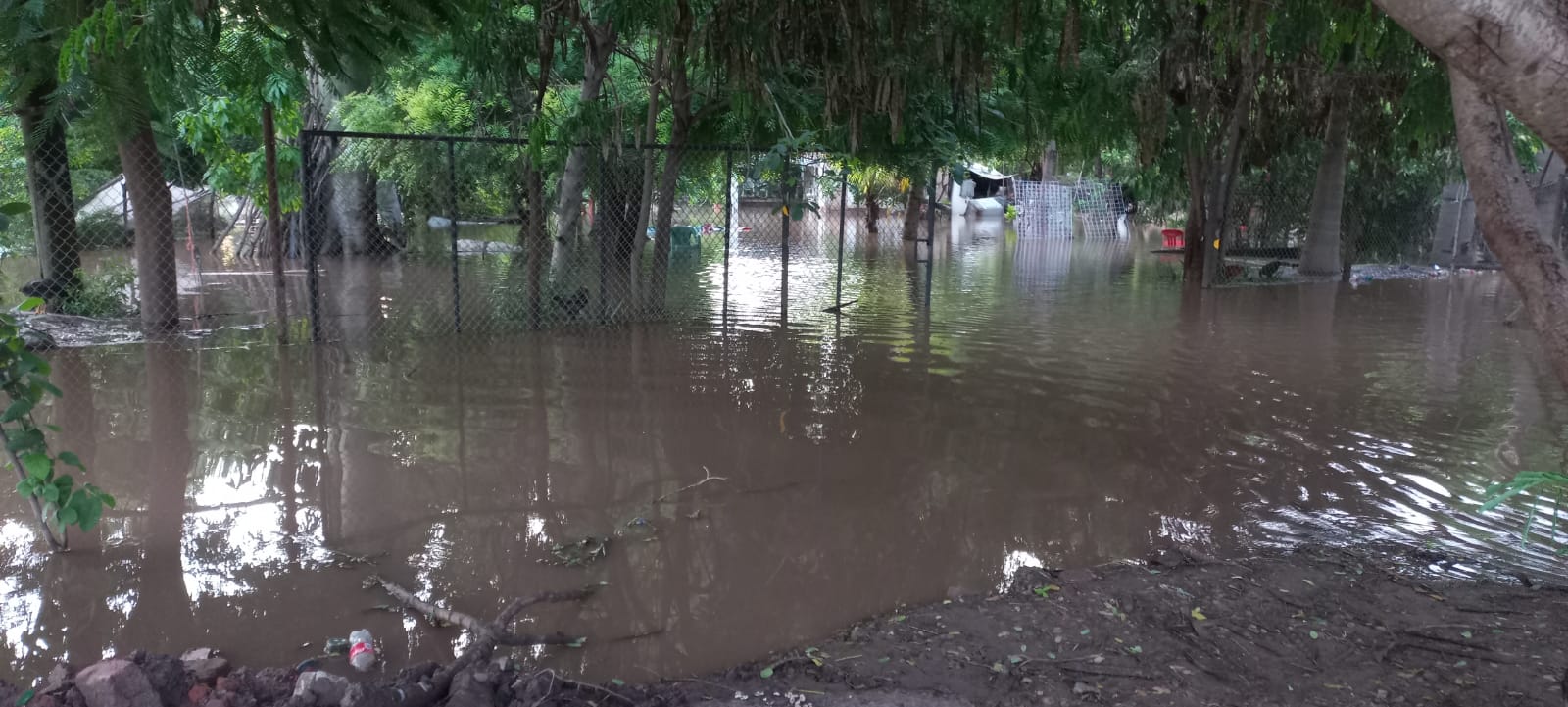 Se desborda dren por la madrugada en La Trinidad, Guasave; hay decenas de casas afectadas
