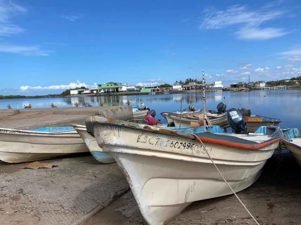 Aplican toque de queda en la Bahía Santa María y detienen la pesca; esperan con urgencia los apoyos del Bien Pesca Estatal