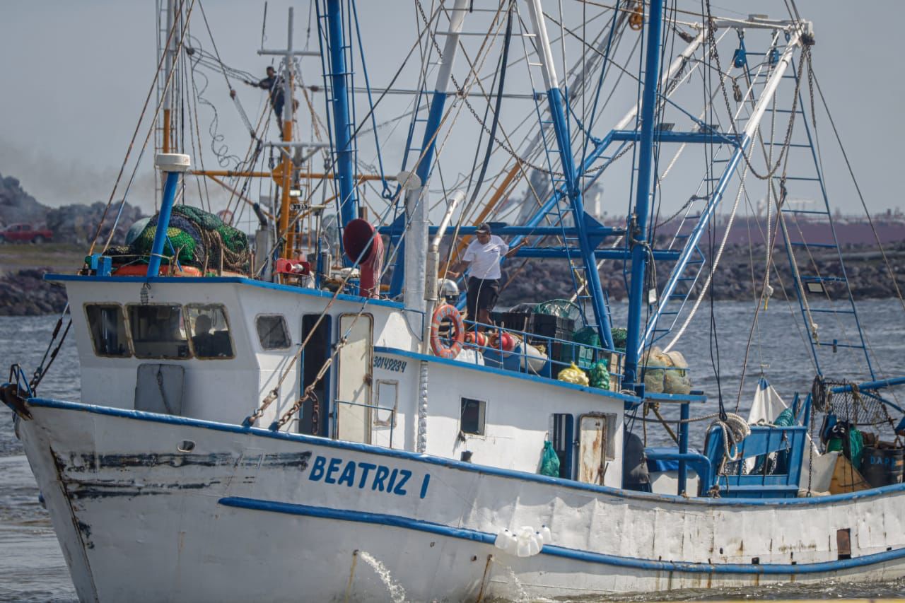 Por falta de recursos, zarpará menos del 50% de barcos camaroneros de altamar en el norte de Sinaloa  
