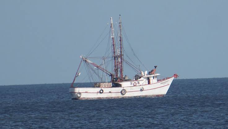 Confirman desaparición de un pescador en altamar; llevan más de 48 horas en su búsqueda: Capitanía de Puerto