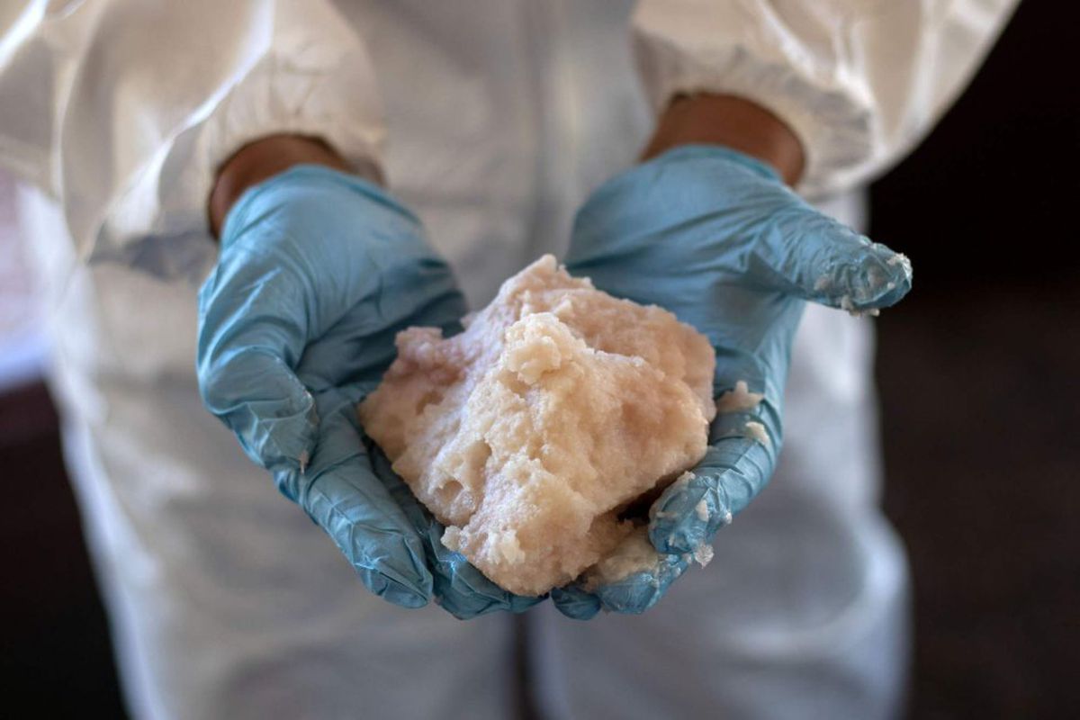 Encuentran casi 20 kilos de clorhidrato de metanfetamina en domicilio de la Margarita, en Culiacán