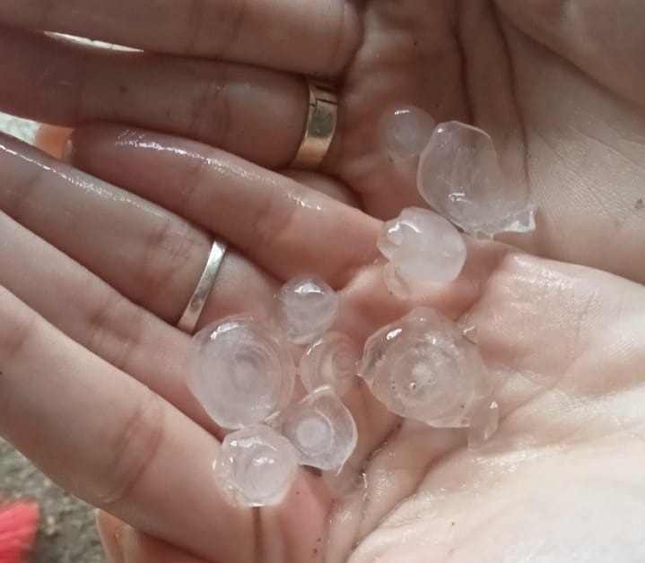 ¡Sin precedentes! Cae granizo en Guasave; ciudadanos de Juan José Ríos y Estación Bamoa comparten su sorpresa