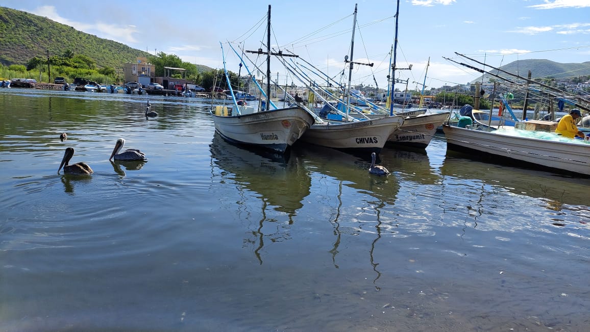 Se cierra la navegación a embarcación menor en Topolobampo, Sinaloa, la recomendación va a las mayores por “Priscilla”