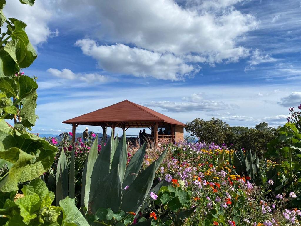 Alertan por temperaturas de hasta 44°C y probabilidad de lluvias en zonas serranas de Sinaloa