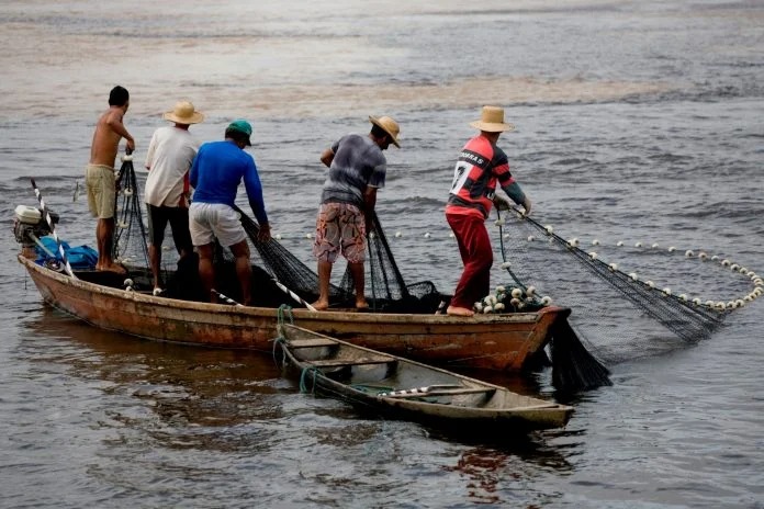 Jóvenes ya no quieren ser pescadores y ponen en riesgo el futuro de la pesca ribereña en Guasave, Sinaloa