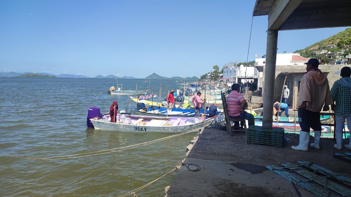 Urgen apoyos de ‘Bienpesca’ ante situación crítica que enfrentan pescadores de Guasave: Valenzuela