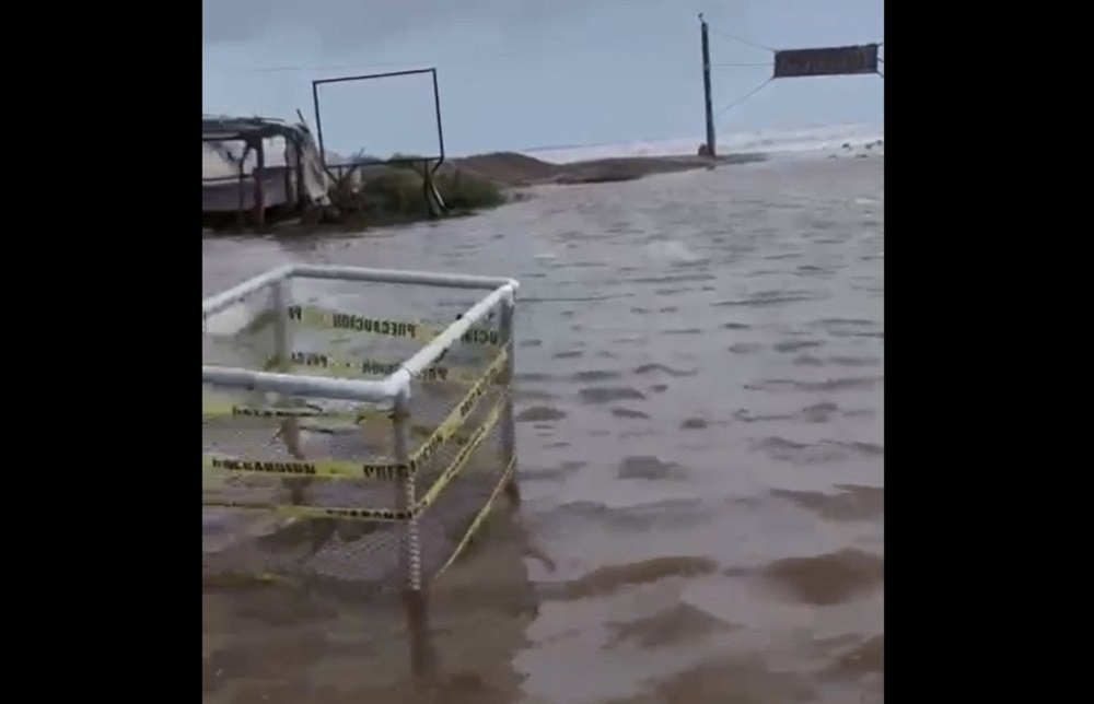 VIDEO: Efectos del huracán ‘Kay’ inundan la playa de Las Glorias, en Guasave