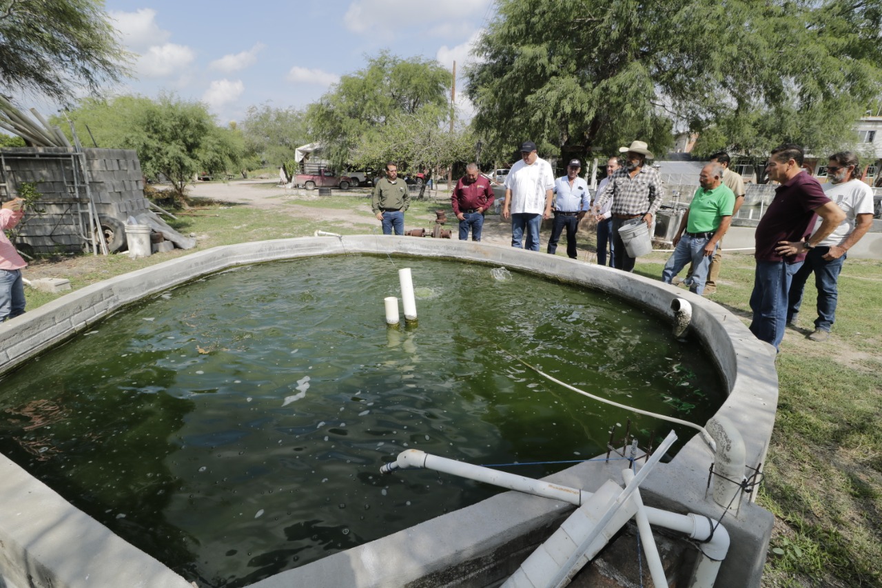 Acuicultores de Sinaloa ven complejo apostarle al nuevo ciclo; sin rentabilidad y altos costos ven este año