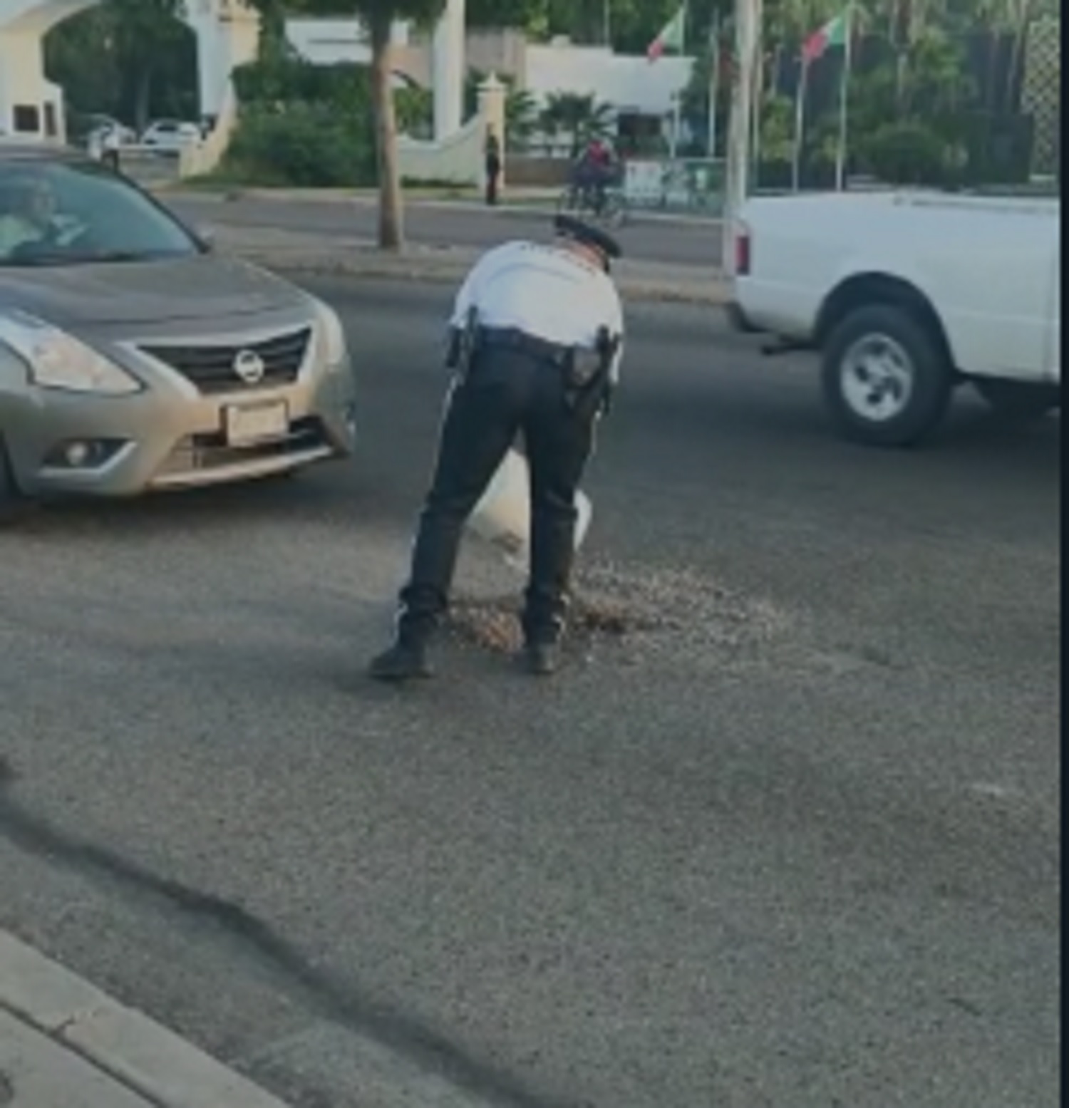 Video | ¡Con cubeta en mano! Agentes de tránsito ayudan a rellenar baches para evitar incidentes