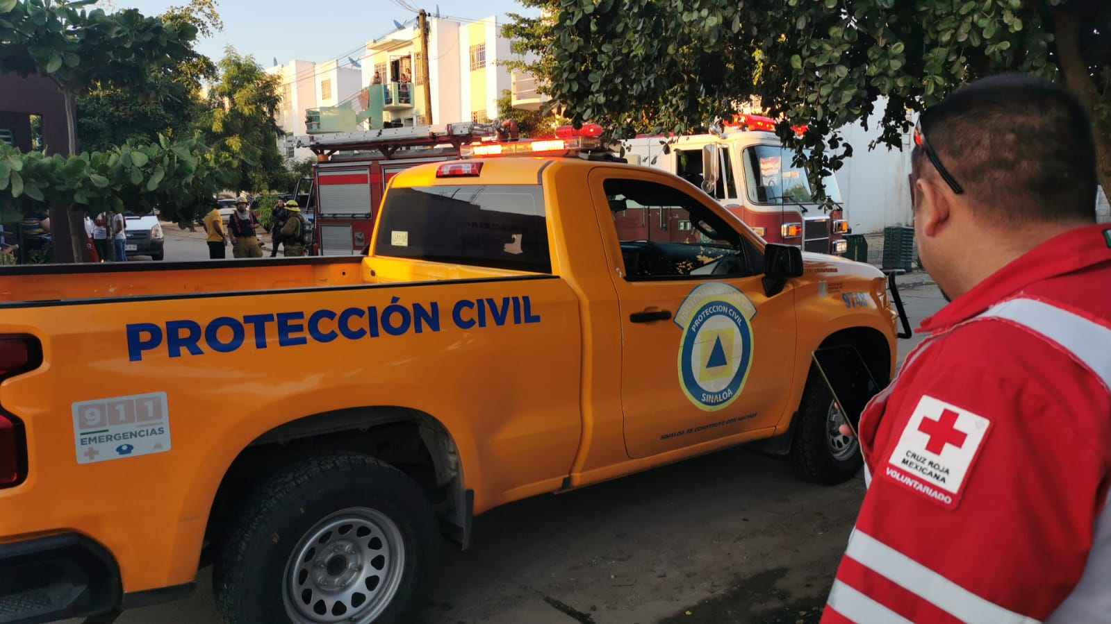 Protección Civil Culiacán llama a no abandonar en la vía pública los arbolitos de Navidad