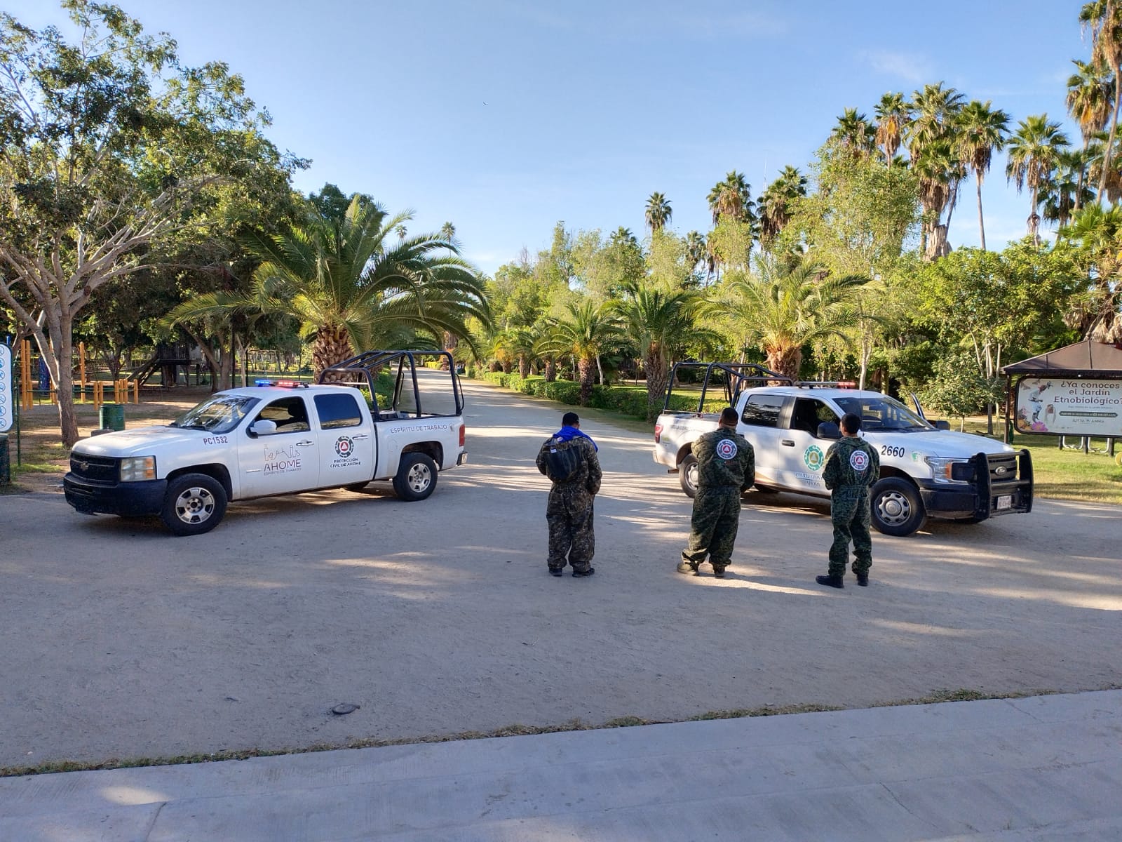 Cierra Protección Civil el Parque Sinaloa por presencia de enjambre de abejas