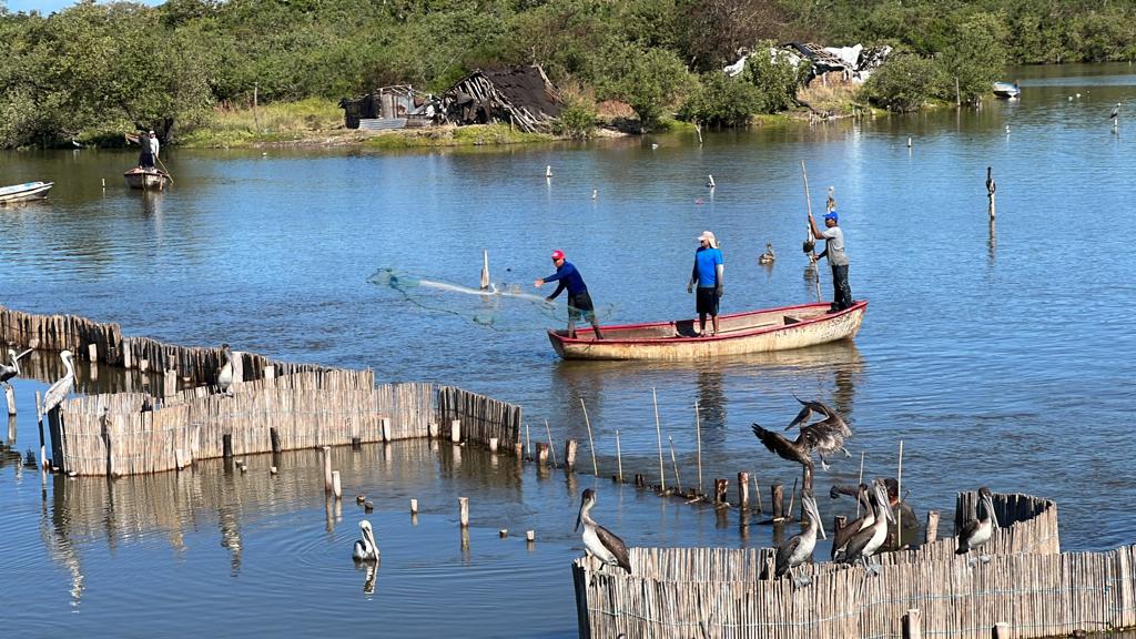 Renace actividad en campos pesqueros de Sinaloa; expectativas son mayores para la economía: Emilia Guerra