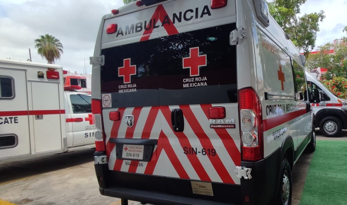 Por picadura de abeja pierde la vida un hombre en Mazatlán