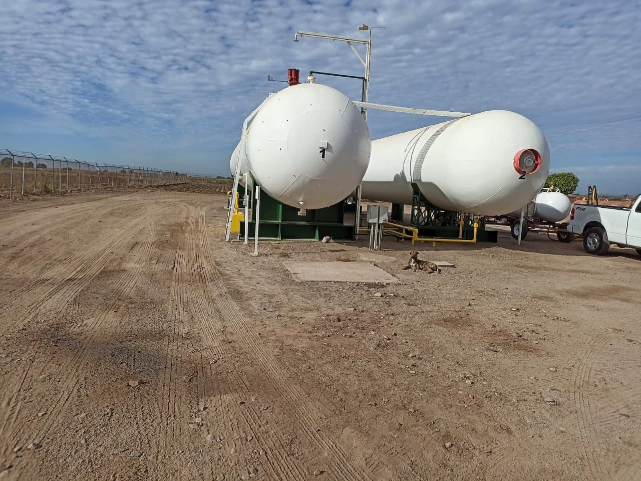 Otro golpe al productor, se dispara el precio del amoníaco en Guasave, Sinaloa