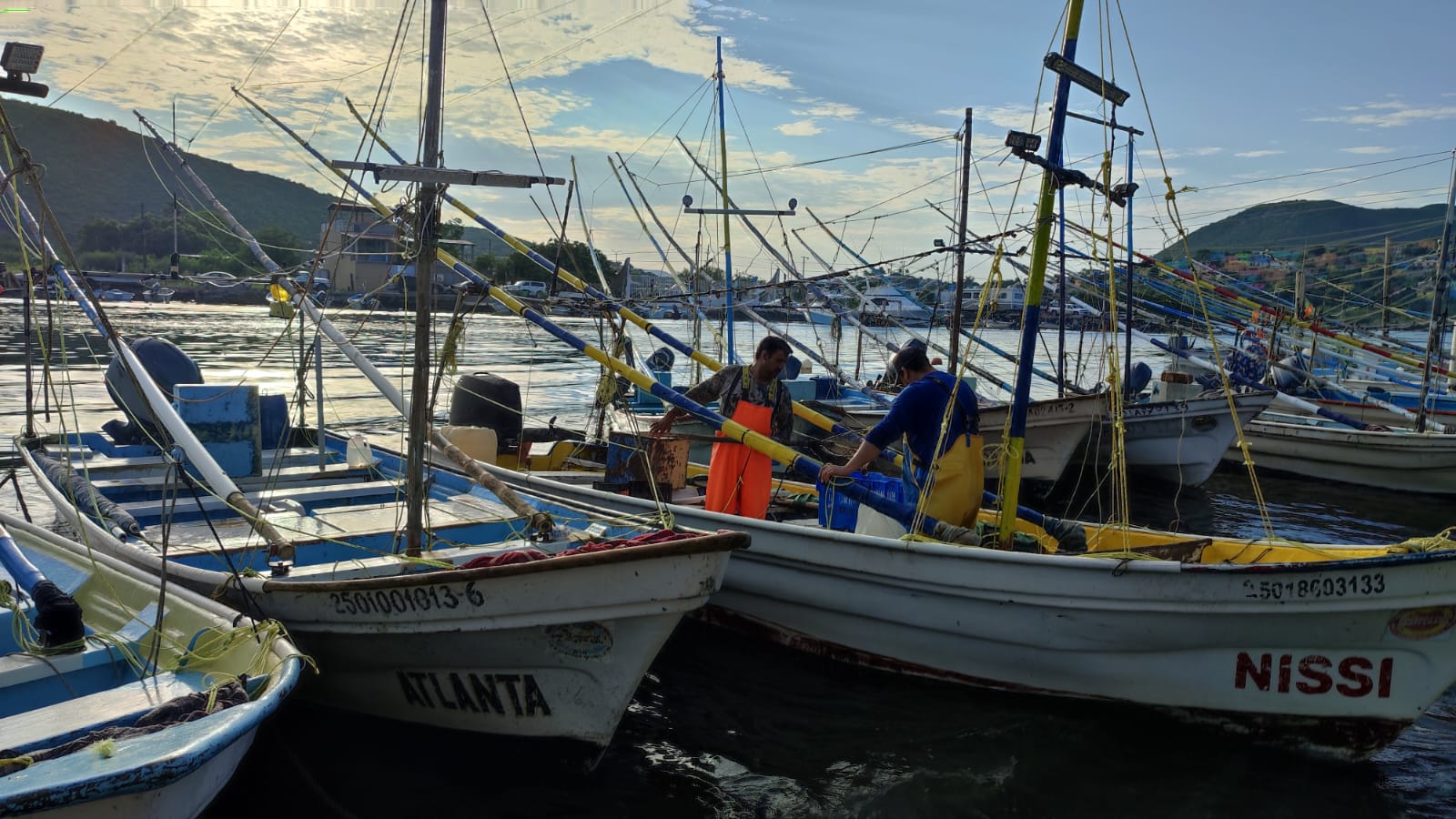 panga, pescadores, camarón, Topolobampo