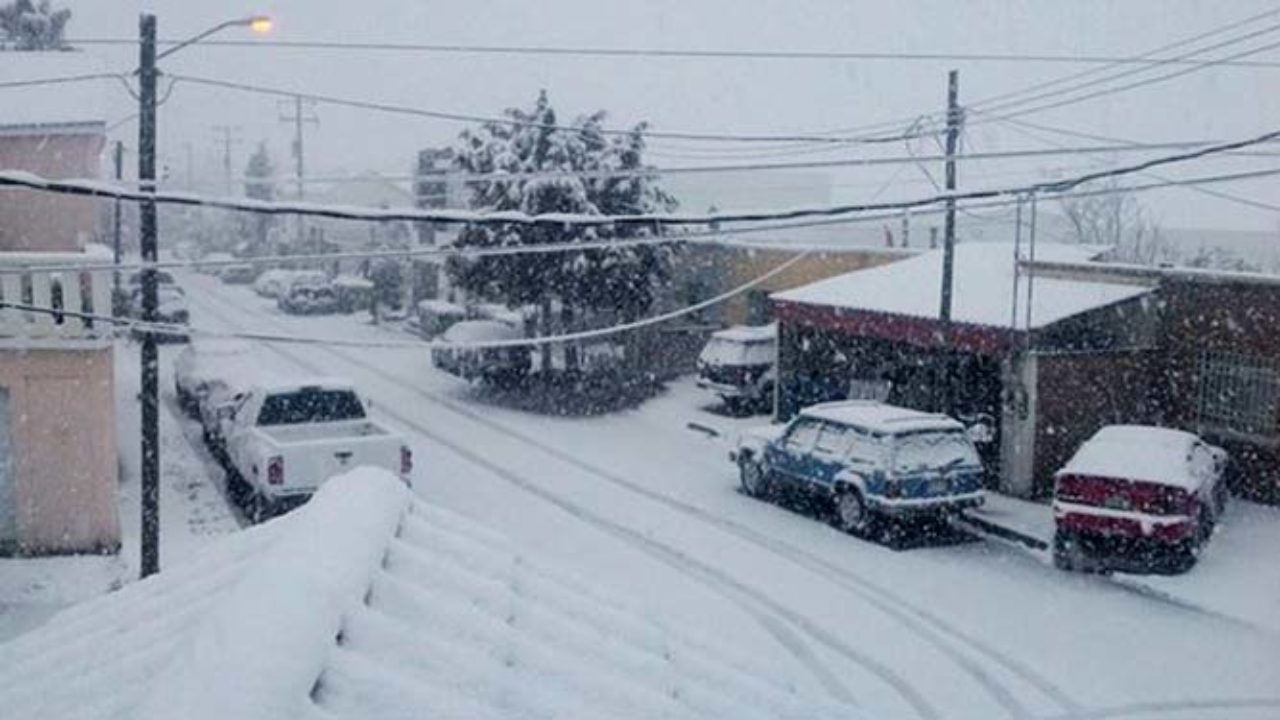 ‘Se pinta de blanco’, así las primeras nevadas en municipios de Chihuahua (Video)