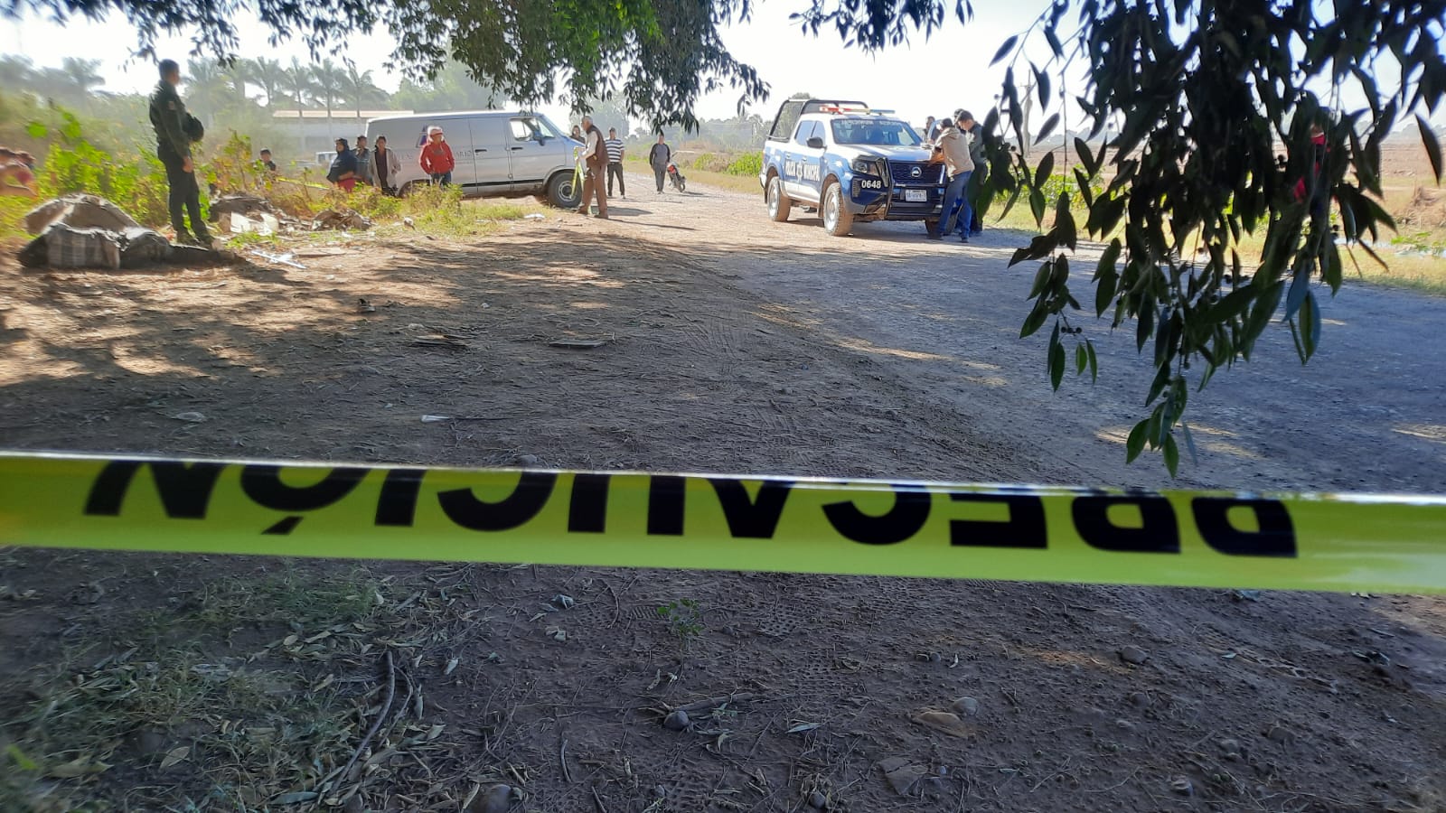 Prisciliano, el hombre asesinado a golpes y dejado debajo de un macapule en Guasave