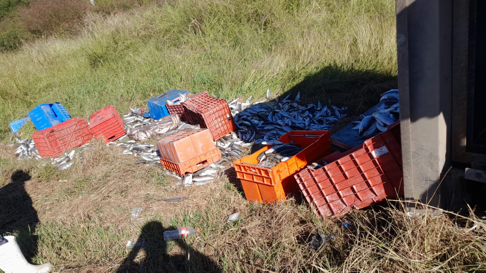 Les truena la llanta trasera y se vuelcan en la carretera de Villa Unión a Mazatlán