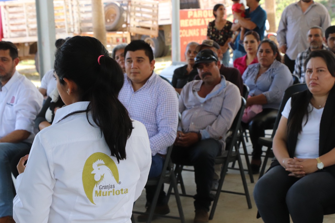 Atrae Badiraguato inversión histórica de 40 millones de pesos para la producción de huevo orgánico