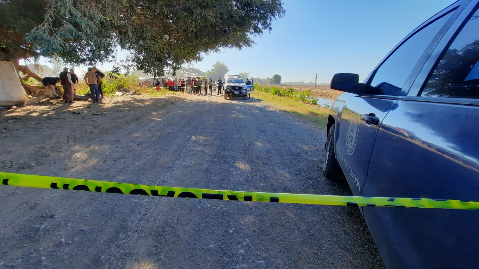 A golpes fue asesinado el hombre encontrado debajo de un macapule en El Tecomate, Guasave