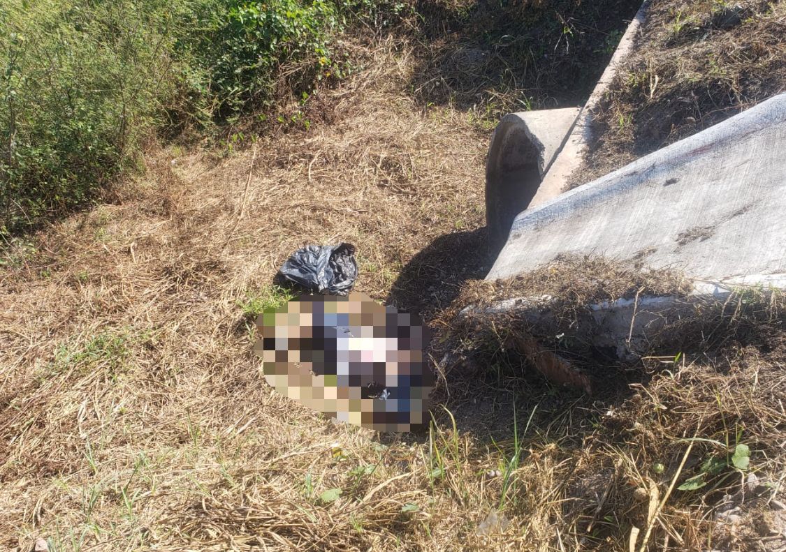 Con una bolsa en la cabeza, hallan cadáver de una persona en la autopista a la altura de Rosario