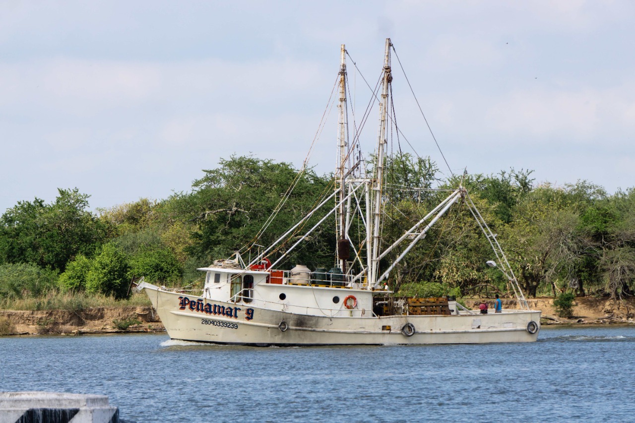 “Siempre se ha sabido que el crimen organizado está presente en la pesca”: Senador Raúl Elenes