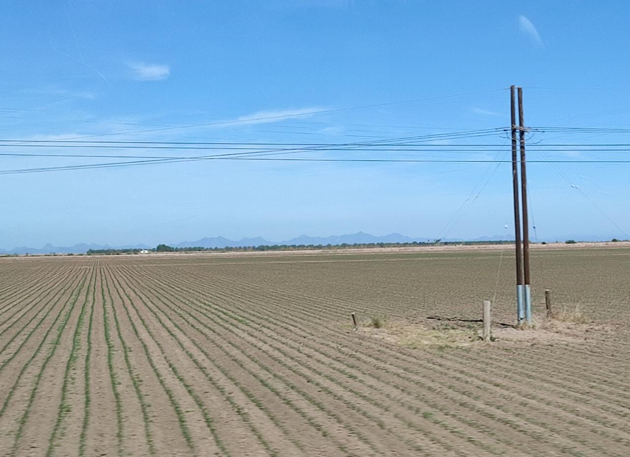 Buscará Gobierno un “Plan B” con productores, ante la falta de lluvias en Sinaloa