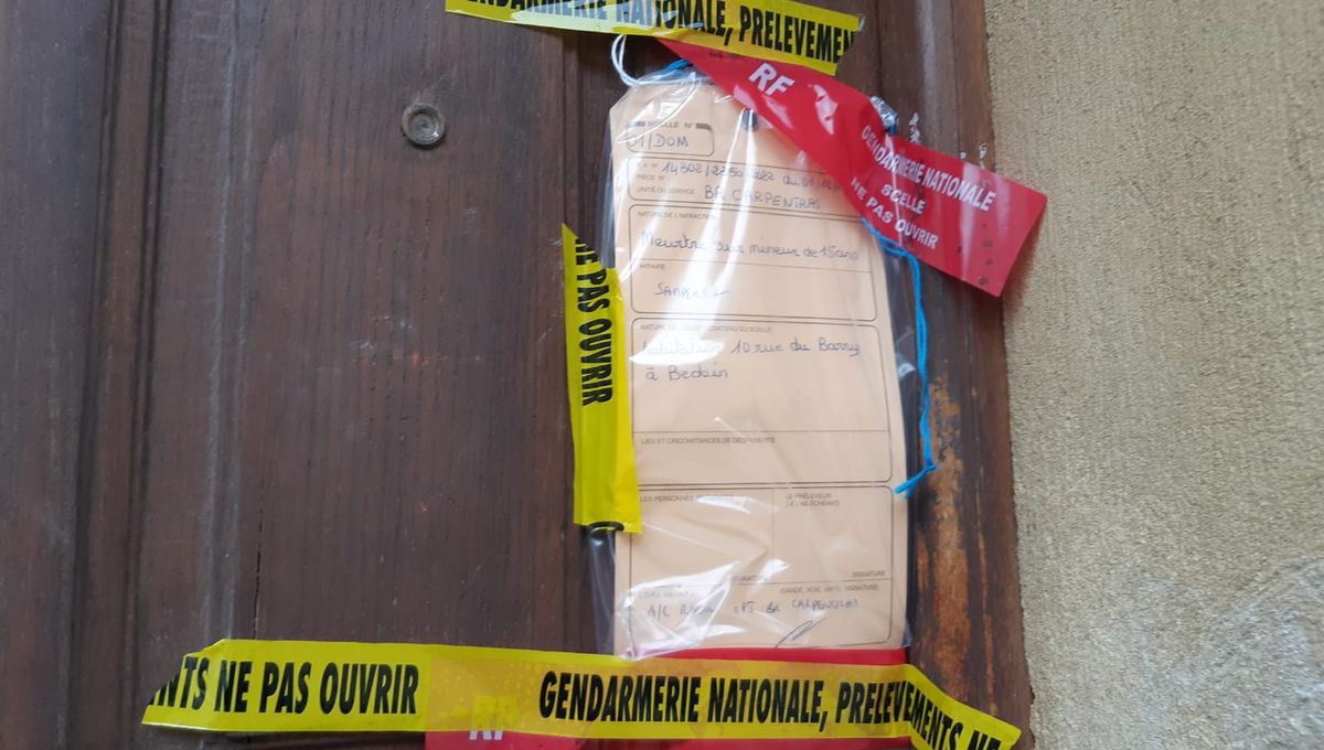 ‘Naturaleza criminal’: En el congelador de una casa en Francia, encuentran cuerpos de dos recién nacidos