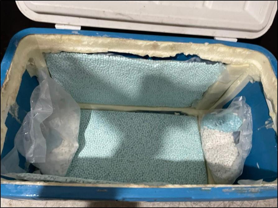 En hielera con camarones, aseguran más de 58 mil pastillas de fentanilo en autobús procedente de Culiacán