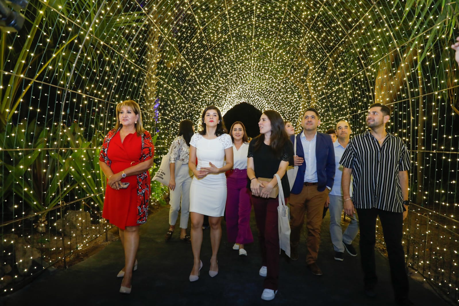 ¡Las fiestas decembrinas ya llegaron! Inauguran ‘Navidad en el Jardín Botánico’